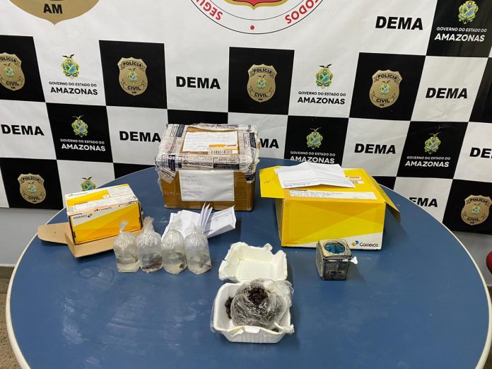 PC investiga autores de tráfico de animais encontrados em caixas dos Correios