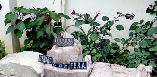 Colombiano é preso em flagrante com 136 quilos de maconha no AM