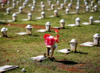 Mortes por covid-19 no mundo passam de meio milhão
