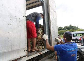 Instituições carentes recebem doação de 10 toneladas de abacaxi