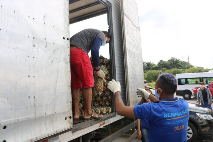 Instituições carentes recebem doação de 10 toneladas de abacaxi
