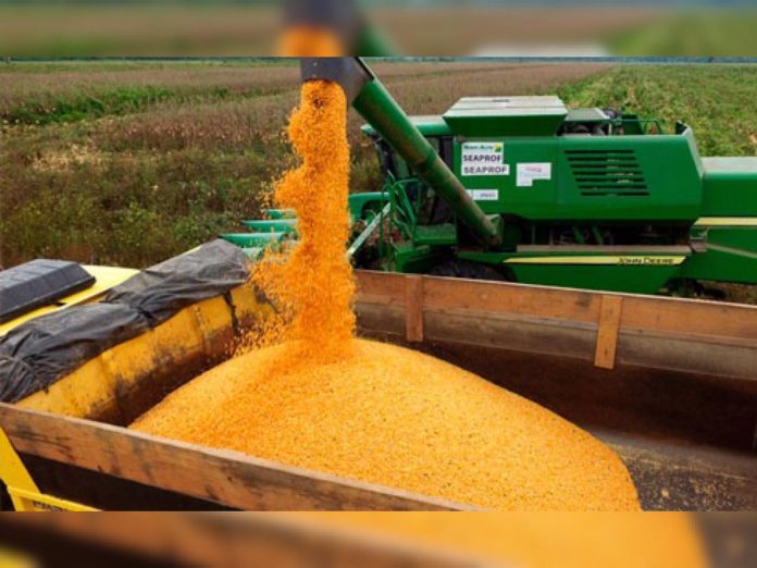 Capacidade de armazenagem agrícola chega a 177,7 milhões de toneladas