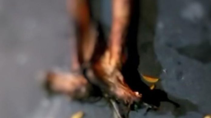 Homem desenterra avó e dança com corpo na rua, veja o vídeo