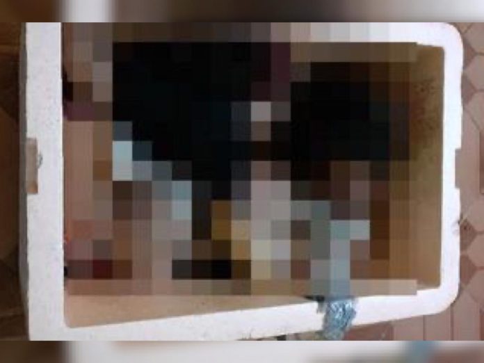Após esquartejar e abandonar mulher em caixa de isopor, trio morre em tiroteio