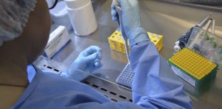 Universidade de Brasília e HUB iniciam teste de vacina contra covid-19