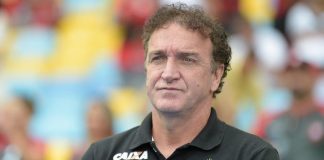 Cuca Santos