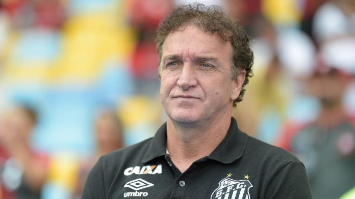 Cuca Santos