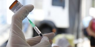 Fiocruz vai testar eficácia da vacina contra tuberculose para covid-19