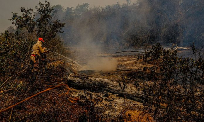 Governo federal libera R$ 3,8 milhões para combate a queimadas no Pantanal
