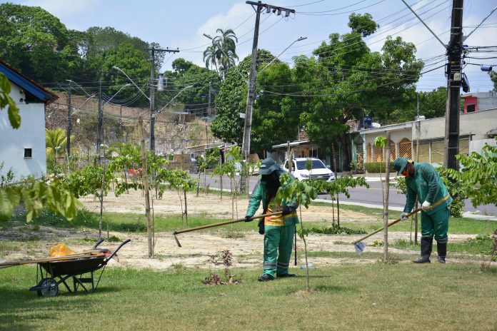 Plantio simbólico comemora quase 40 mil novas árvores do ‘Arboriza Manaus’
