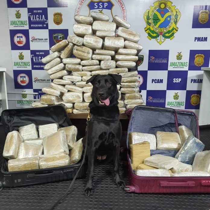 Seis pessoas são presas com 100 quilos de drogas escondidas em malas