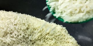 Arroz: Governo define critérios para cota de importação do produto