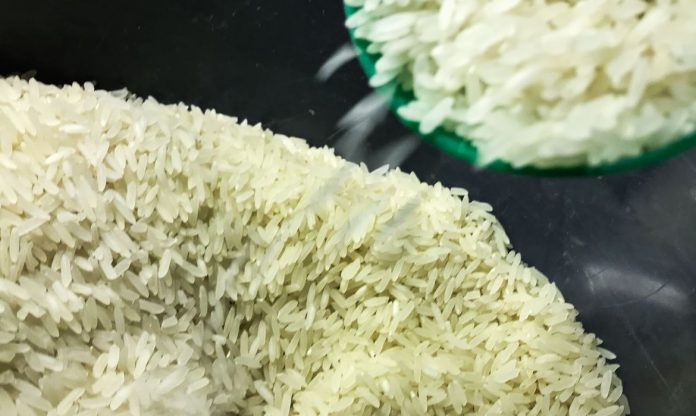 Arroz: Governo define critérios para cota de importação do produto