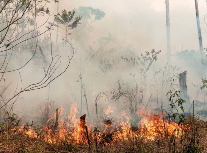 Amazonas já tem aumento de 45% de queimadas no mês de setembro