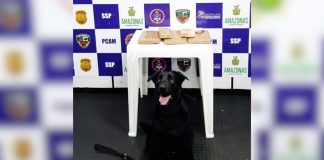 Quatro quilos de drogas são apreendidos pela Base Arpão em embarcação