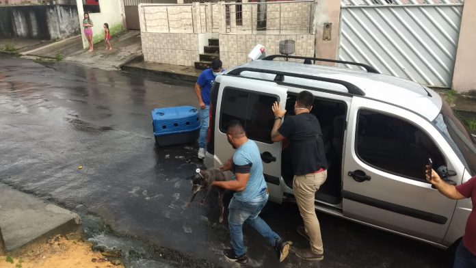 Dois homens são indiciados por maus-tratos a animais