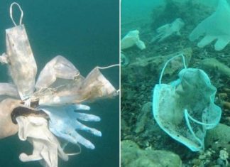 Mais de 1,5 bilhão de toneladas de máscaras acabaram no mar em 2020