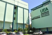 UEA prorroga inscrições da pós-graduação Amazon Rainforest Business