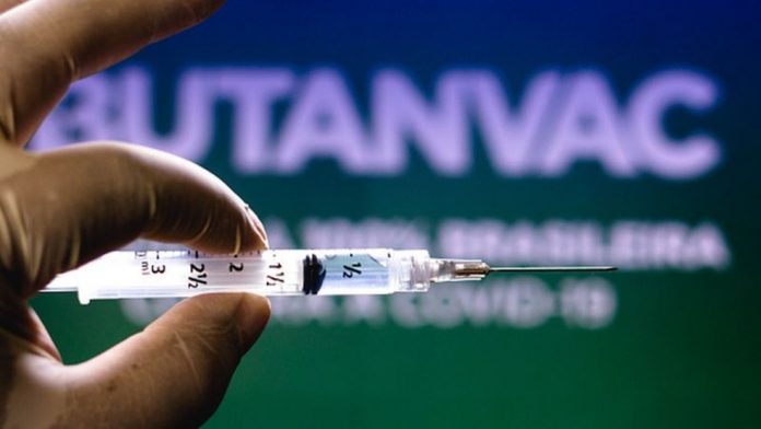 Ainda sem testes em humanos, Butantan inicia produção de sua vacina