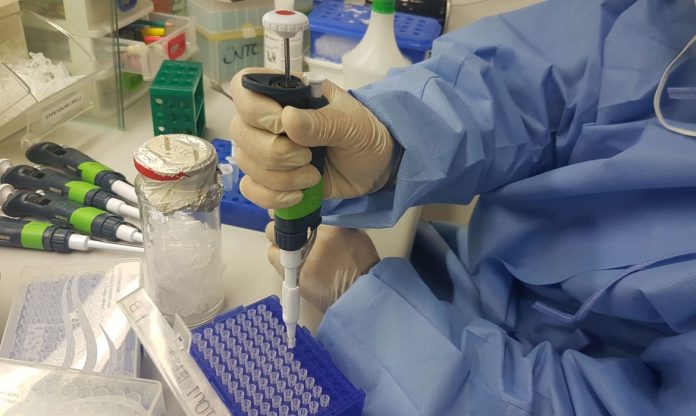 Covid-19: vacina da Fiocruz Minas e UFMG avança em testes de laboratório