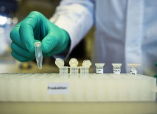 Taxa de infecção por covid-19 está próxima do valor mais alto, diz OMS