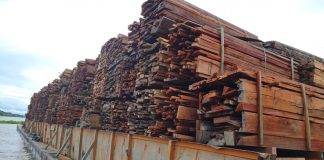 Em Careiro da Várzea, PM apreende 400 metros cúbicos de madeira de origem irregular
