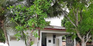 Polícia Civil cumpre mandado de prisão por tráfico de drogas em Manaquiri
