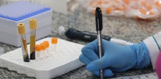Covid-19: pesquisa testará presença de anticorpos em 211 mil pessoas