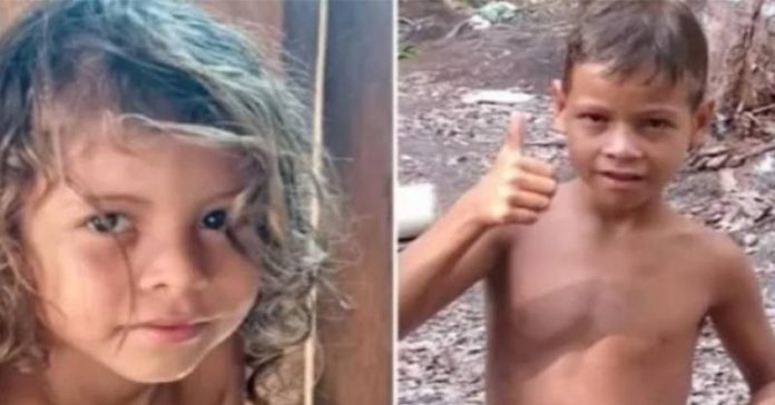 Irmãos indígenas encontrados na mata são transferidos para Manaus