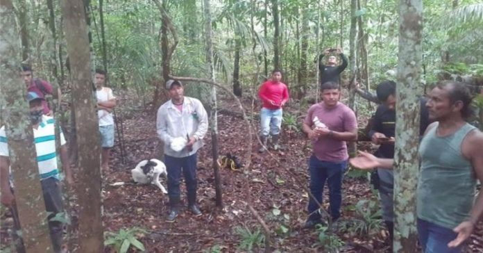 Irmãos indígenas são encontrados após 27 dias perdidos na mata