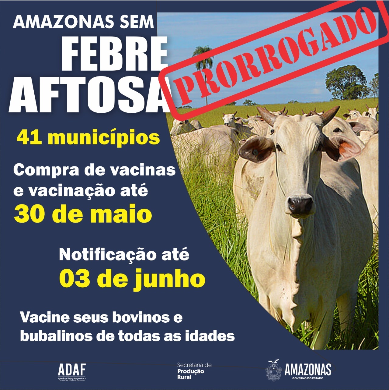 campanha de vacinação