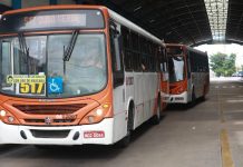 Frota de ônibus será reforçada em dias de jogos da Seleção Brasileira na Copa