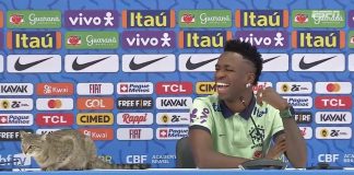 Gato invade entrevista de Vini Junior na seleção brasileira; assista ao vídeo