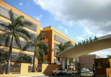 Venda do Lagevrio para tratamento da covid-19 é liberada pela Anvisa