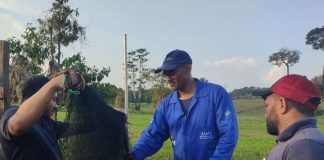 Após focos de raiva no Amazonas, animais devem receber vacina obrigatória