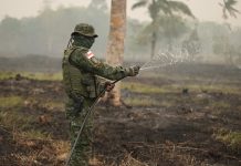 Polícia Militar do Amazonas realiza prisões por crimes ambientais